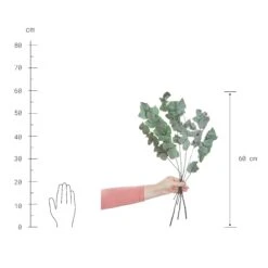 2x Trockenblumen Eukalyptus Länge 60cm FLOWER MARKET In Grün 9 2x Trockenblumen Eukalyptus Länge 60cm FLOWER MARKET In Grün -Butlers butlers 2x trockenblumen eukalyptus lange 60cm flower market in grun 3
