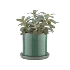 Butlers -Butlers butlers blumentopf mit teller o16cm plant place in grun 1