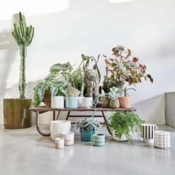 Blumentopf Ø11cm SUNSET In Beige-Pastellorange -Butlers butlers blumentopf o11cm sunset in beige pastellorange 4