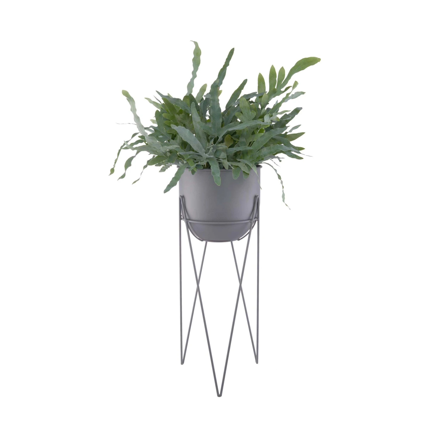 Pflanzentopf Mit Gestell Höhe 56cm PLANTA In Grau 4 Pflanzentopf Mit Gestell Höhe 56cm PLANTA In Grau – Bild 2