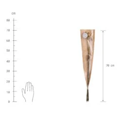 Trockenblumen Craspedia Länge 70cm FLOWER MARKET In Gelb 9 Trockenblumen Craspedia Länge 70cm FLOWER MARKET In Gelb -Butlers butlers trockenblumen craspedia lange 70cm flower market in gelb 2