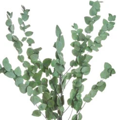 Butlers -Butlers butlers trockenblumen eukalyptus lange 60cm flower market in dunkelgrun 1