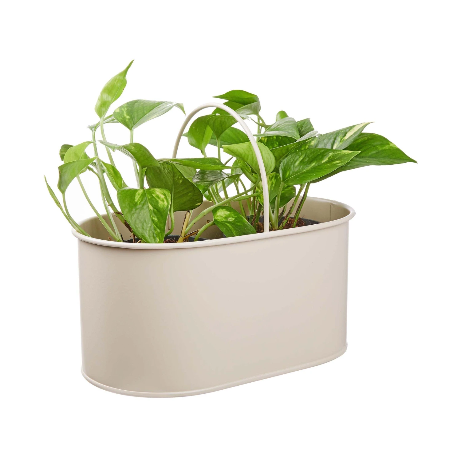 Universal-Box B 32 X T 19cm ZINC In Beige 4 Universal-Box B 32 X T 19cm ZINC In Beige – Bild 2