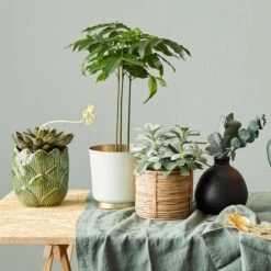 Vase Höhe 16cm MIO In Schwarz -Butlers butlers vase hohe 16cm mio in schwarz 7